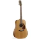 Norman Studio ST40