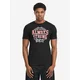 Benlee Mens t-shirt regular fit