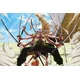 Maxi plakat GB eye One Piece - Zoro vs Kaku - 91,5 × 61 cm