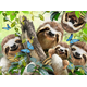 Ravensburger - Puzzle Sloth Selfie - 500 kosov