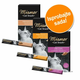 Miješani probni set: 18 x 15 g Miamor Cat Confect Cream - Probno pakiranje II
