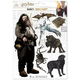 Set magneta CineReplicas Movies: Harry Potter - Rubeus Hagrid