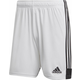 Kratke hlače adidas Tastigo 19 Shorts Y