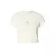 Calvin Klein Jeans Majica pastelno rumena/svetlo rumena