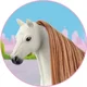 shumee Beauty Horses - Čokoladno rjava konjska dlaka