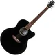 Pasadena PJC-300 Black Akustična kitara Jumbo (Kot novo)