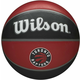 Wilson NBA Team Tribute Basketball Toronto Raptors 7