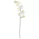 SMYCKA Veštački cvet, orhideja/bela, 60 cmPrikaži specifikacije mera