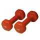 Neoprene Coated Dumbbells utezi  1,0 kg/pair