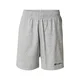 Champion Authentic Athletic Apparel Hlače temno modra/svetlo siva