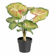 slomart dekorativna rastlina 48 x 46 x 55 cm rdeča zelena pvc