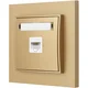 1x internetna vtičnica z okvirjem karlik mini zlate barve