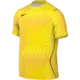 Nike Dres Dri-FIT Gardien VI Goalkeeper