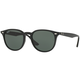 Ray-Ban RB4259 601/71 Crni/Zeleni