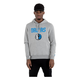 TEAM LOGO HOODY DALLAS MAVERICKS GREY