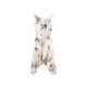 Desigual Obleka rjava / bela