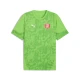 Mens Puma Girona FC Training Jersey, Green, Size S, Sport
