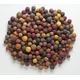 Mivardi Rapid boilies - Multi Mix 2,5 kg