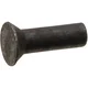 RS 20mm granitne ugreznjene zakovice
