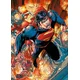 Trefl Puzzle Superman 1000 kosov
