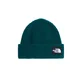 THE NORTH FACE Kape Salty cijansko modra/črna/bela