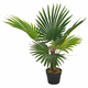 Greatstore Umetna palma z loncem zelene barve 70 cm