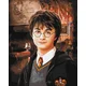 shumee Slikanje po številkah - Harry Potter 40x50cm