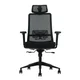 Ergonomska kancelarijska stolica UGD LumbarMax