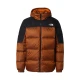 THE NORTH FACE Zunanja jakna Diablo rjasto rjava/črna/bela