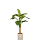 MID.YOU Umetna Rastlina Banana I