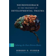 Neurofeedback in the Treatment of Developmental Trauma