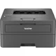 Brother HL-L2400DW Laser Printer, 4 Months EcoPro Incl. 30 ppm, Automatic Duplex Printing, LC Display, Toner for up to 700 Pages Included