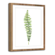 Slika Styler Modernpik Greenery Wooden praprot, 30x40 cm