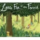 Little Fox in the Forest