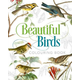 Beautiful Birds Colouring Book