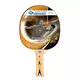 DONIC Reket APPELGREN 300