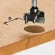 Rezkar tečaja Festool HW S8 D20