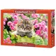 Castorland - Puzzle Mačić u cvjetnjaku - 500 dijelova