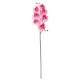 SMYCKA Veštački cvet, unutra/spolja/orhideja roze, 60 cm
