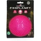 Dog Comets Exoplanet - Pink - L