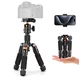K&F Concept Desktop Mini Tripod for Camera, 20.5/ 52cm Compact Tripod with 360° Low Profile Ball Head