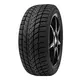 Delinte WD6 ( 205/55 R17 95H XL )