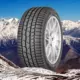 285/40 R19 CONTINENTAL WINTER CONTACT TS 830 P 103 V FR NO (F) (C) (75)