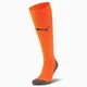 Puma Team LIGA Socks CORE