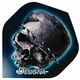 3D Skull Standard3D Skull Standard