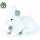 Rappa Plišasti zajec, 23 cm, Eco-Friendly