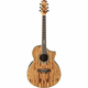 IBANEZ elektro akustična kitara EW20ZWE-NT