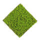 Trava zelena stena 50x50cm zelena
