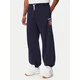 Reebok Spodnji del trenirke Eryk RK25733CCM Mornarsko modra Regular Fit