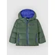 Patagonia Hi-Loft Down Sweater Hooded Kids Jacket canopy green